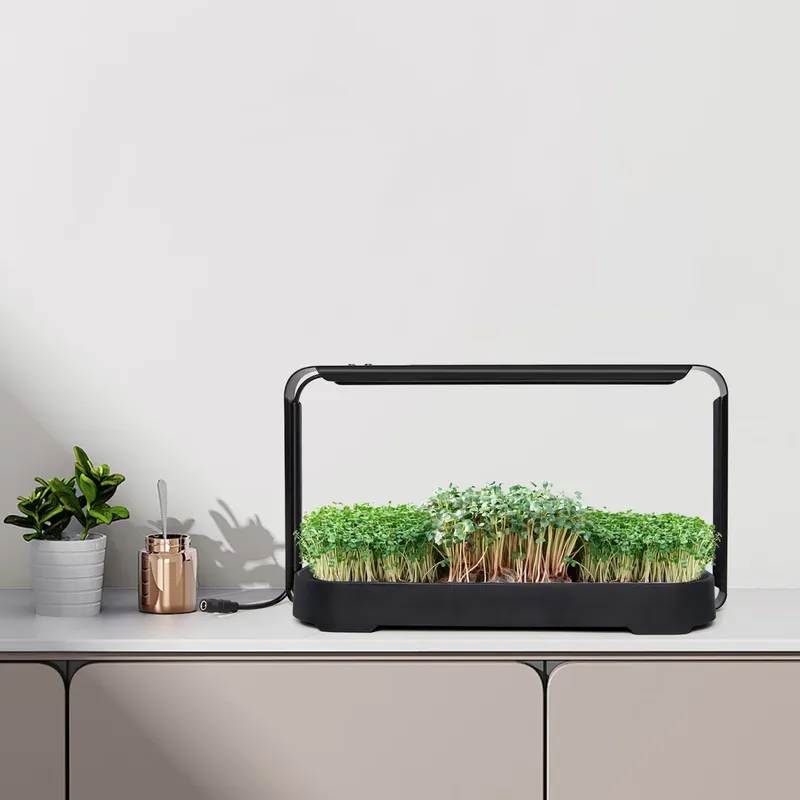 Hydroponic Kit - Microgreens Self Watering Hydroponic Planter Growing