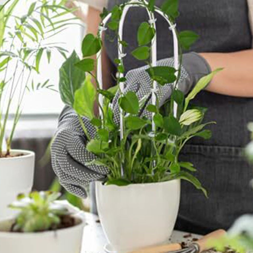 2pcs Acrylic U-shaped Plant Ra - огляд і ціна Indoor Herb Garden