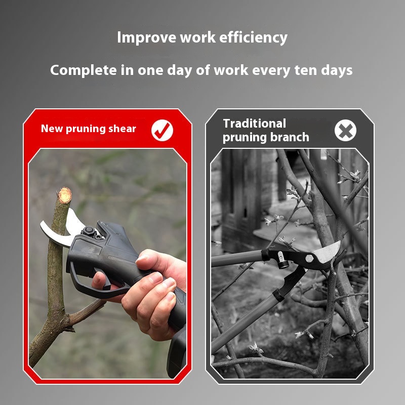 Portable Outdoor Cordless Elec - огляд і ціна Pruning Shears