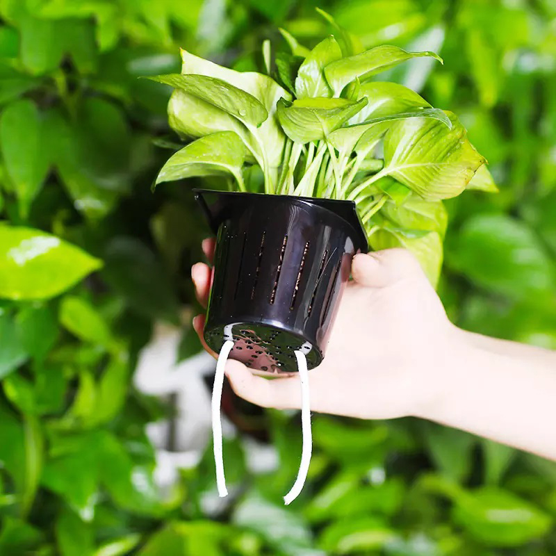 Hydroponics Indoor Kit 2 Squar - огляд і ціна Hydroponic Kit