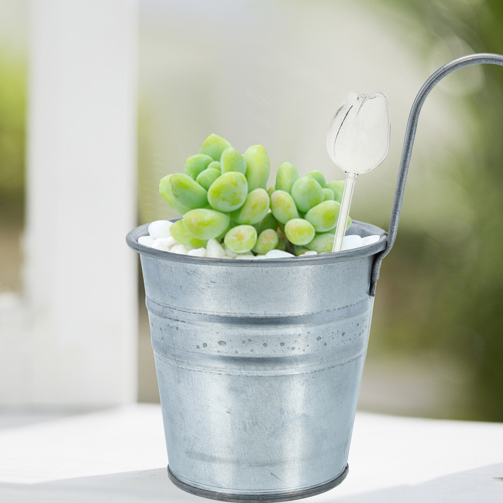 2Pcs Premium High Borosilicate - огляд і ціна Self Watering Planter