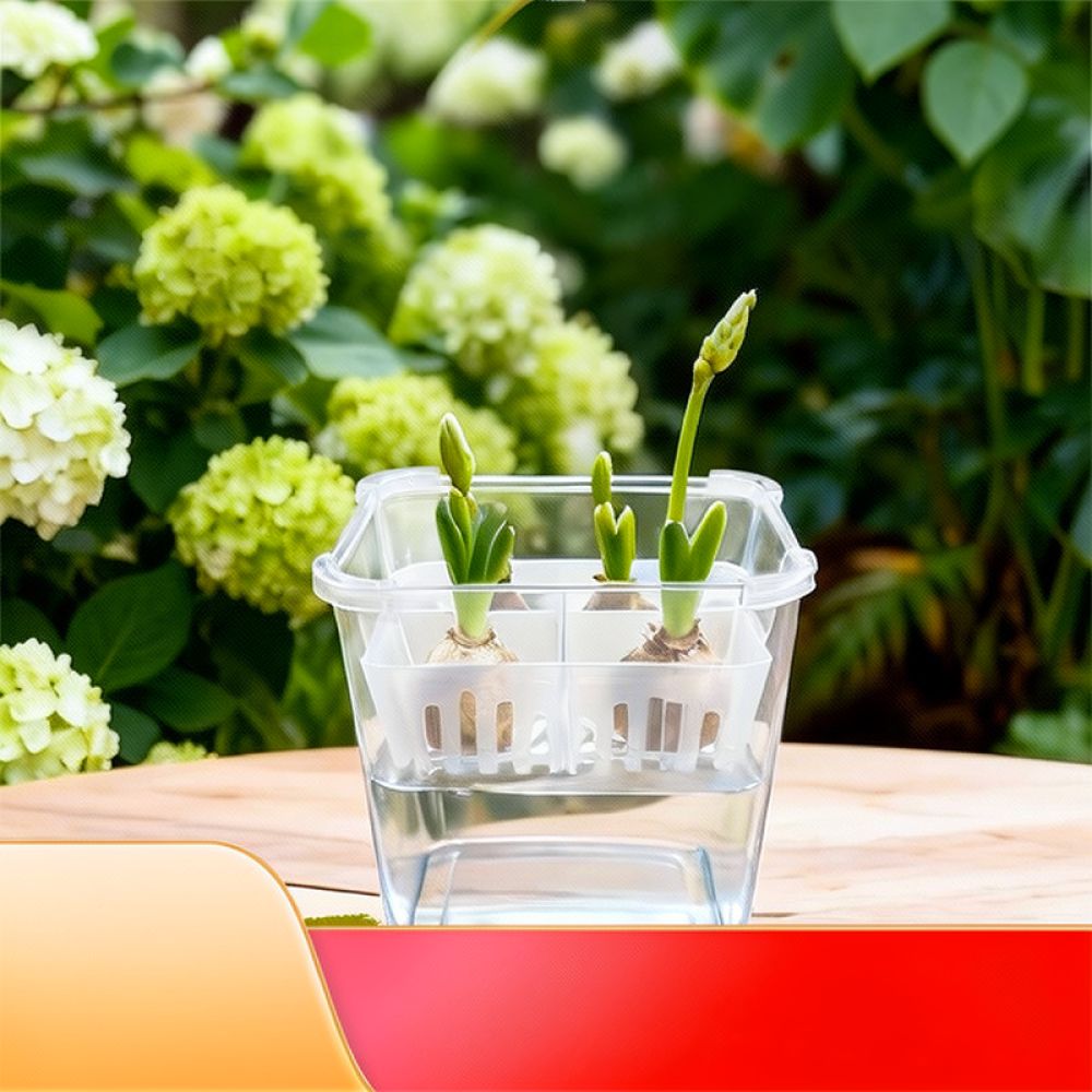 Hydroponic Vase For Tulip Lily - огляд і ціна Plant Pot
