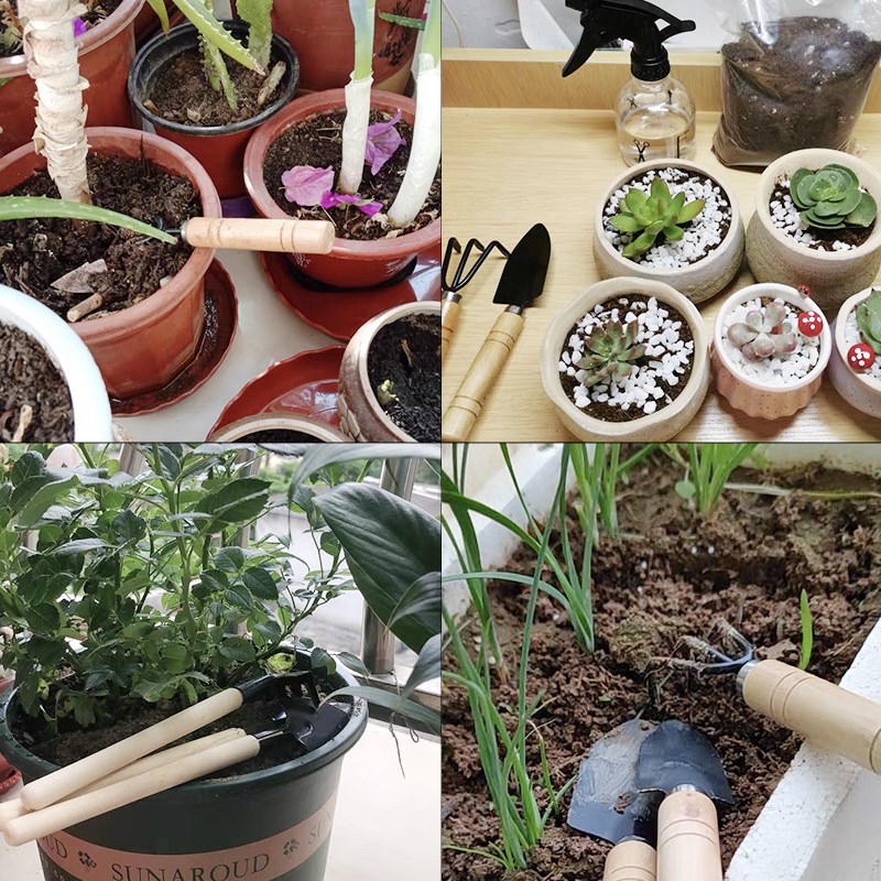 3PC/1Set Mini Gardening Tools  - огляд і ціна Indoor Herb Garden