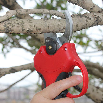 High-Quality Non-Slip Handle G - огляд і ціна Pruning Shears