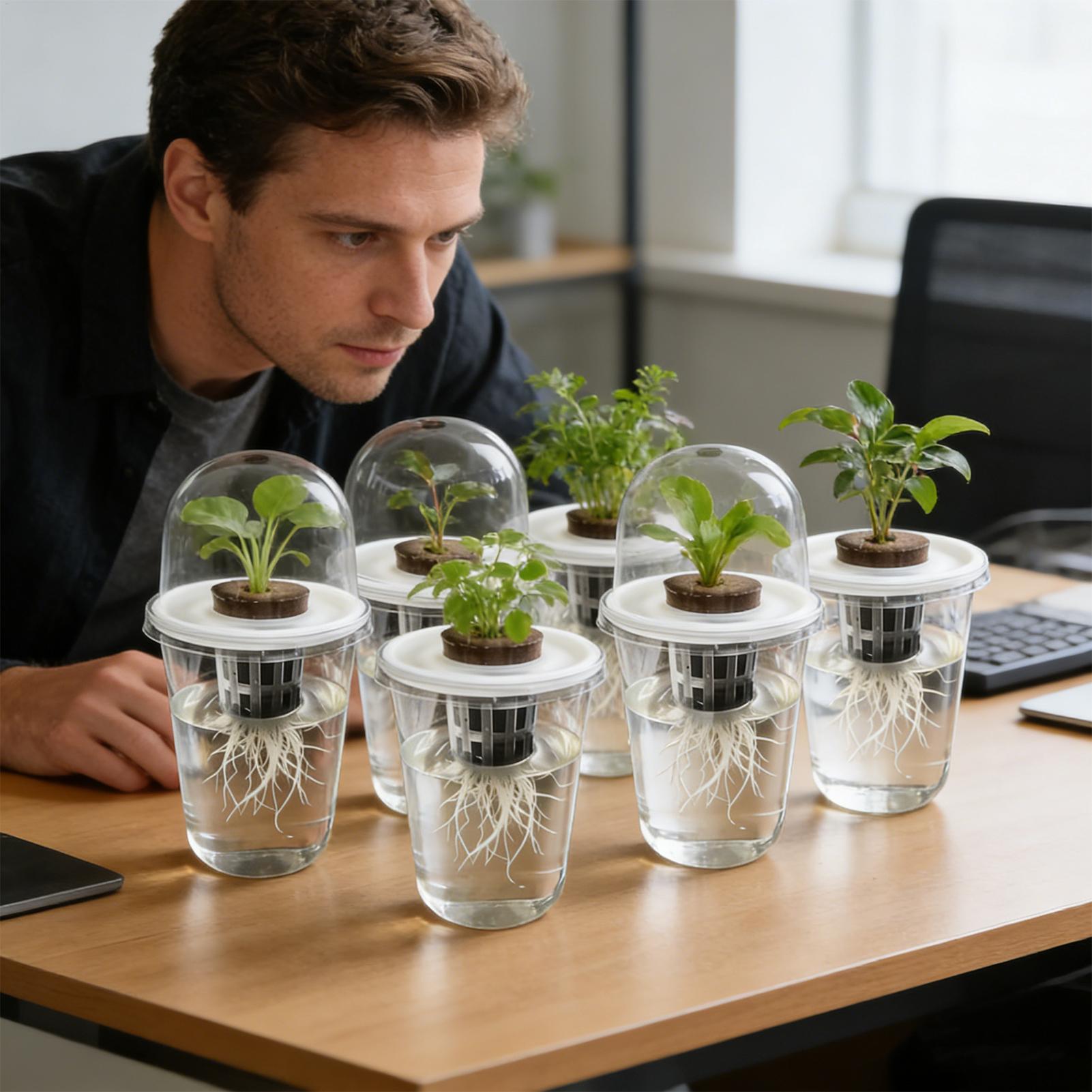 1-5pc Visible Clear Plants Ger - огляд і ціна Seed Starter Tray