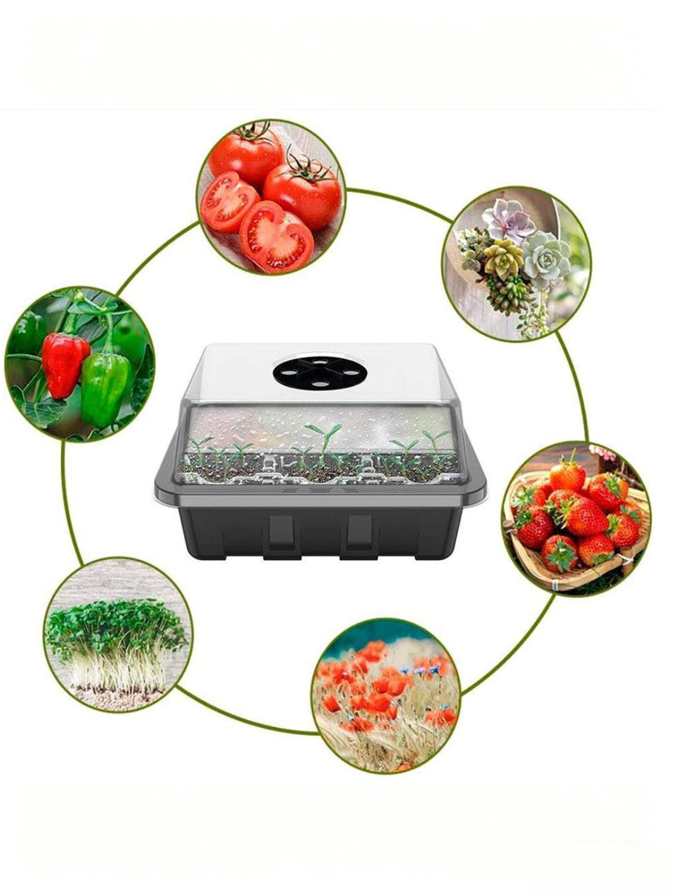 1/2pc 6/12-Hole Seedling Tray, - огляд і ціна Seed Starter Tray