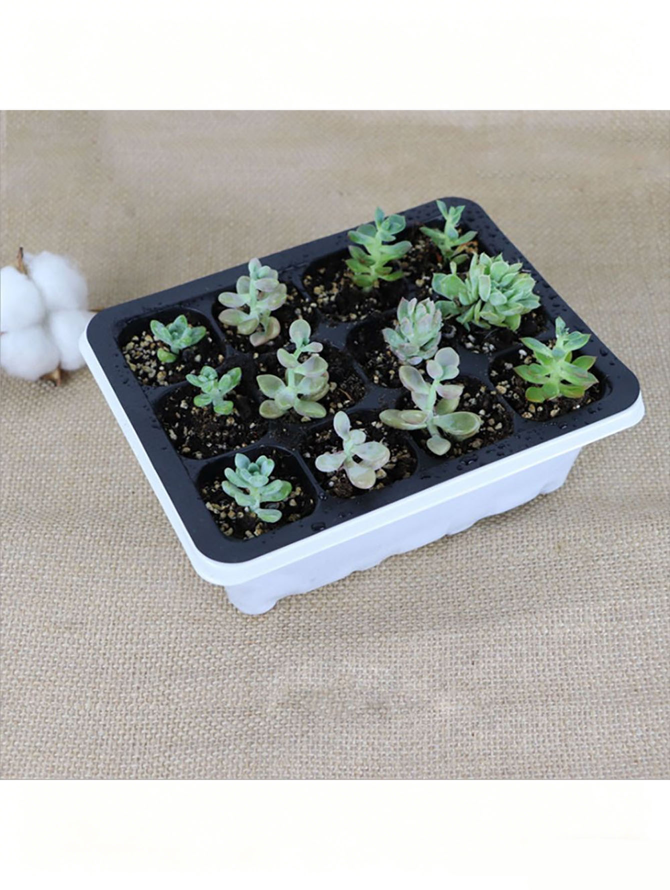 1/2pc 6/12-Hole Seedling Tray, - огляд і ціна Seed Starter Tray
