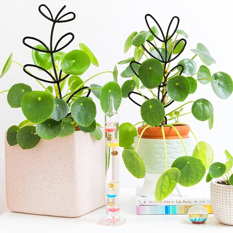 3Pcs Plant Support Frame Climb - огляд і ціна Indoor Herb Garden