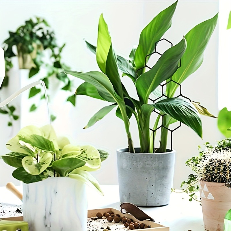 3Pcs Plant Support Frame Climb - огляд і ціна Indoor Herb Garden